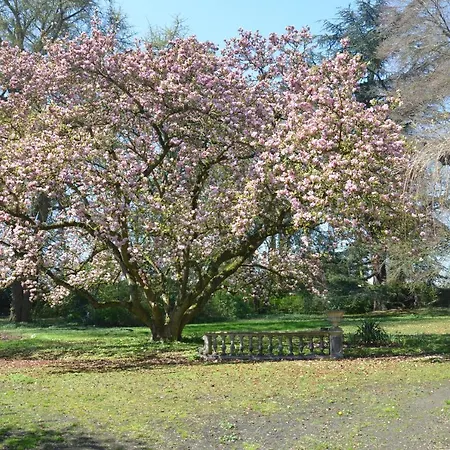 La Gentilhommiere Du Chateau De Bed and breakfast